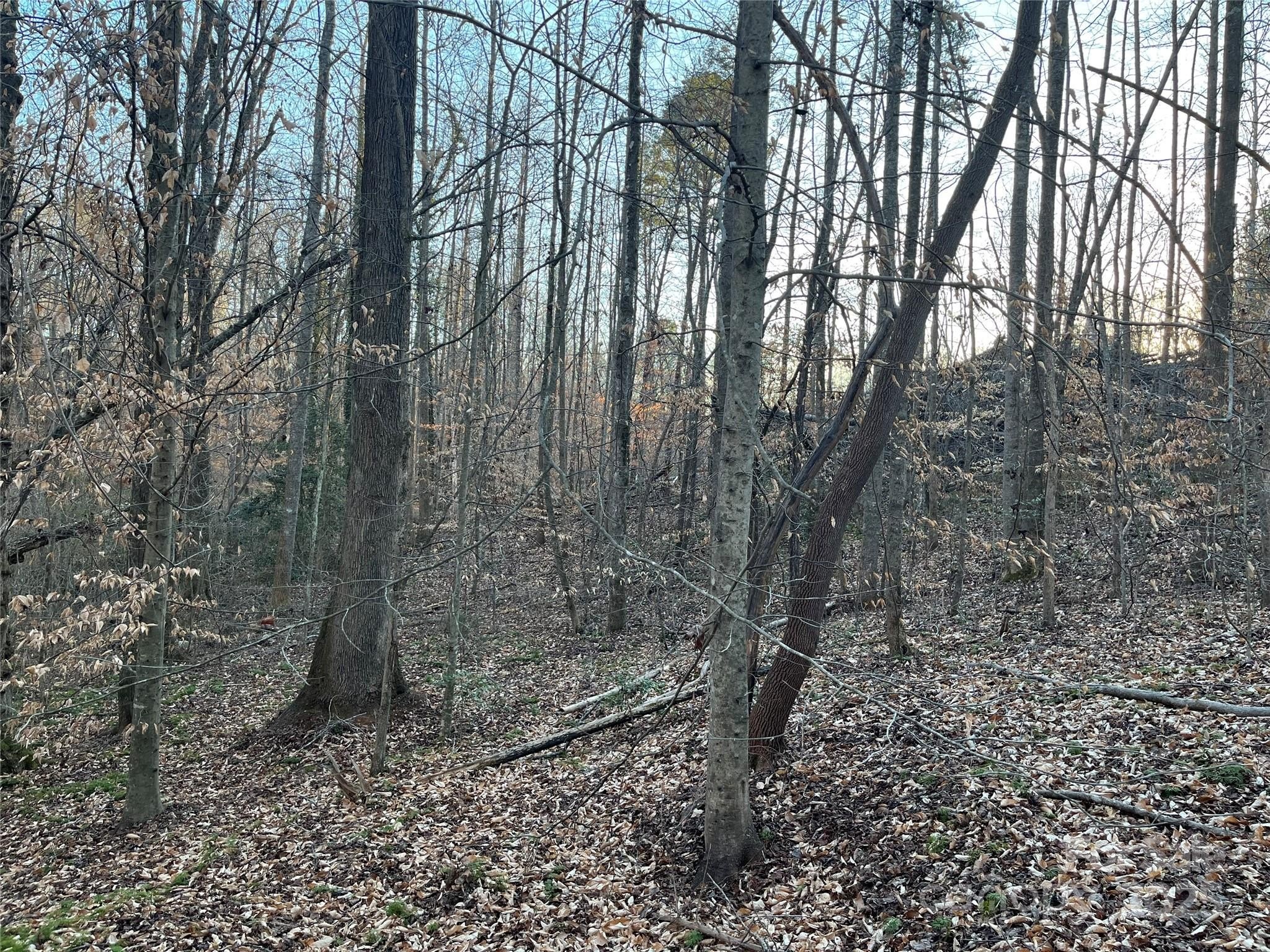 Residential Land in Rutherfordton, NC