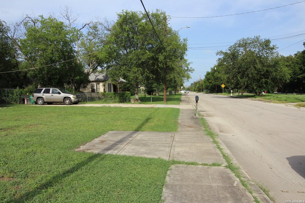 Picture 6