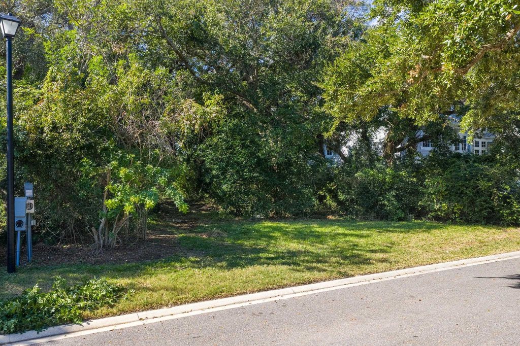Picture 23