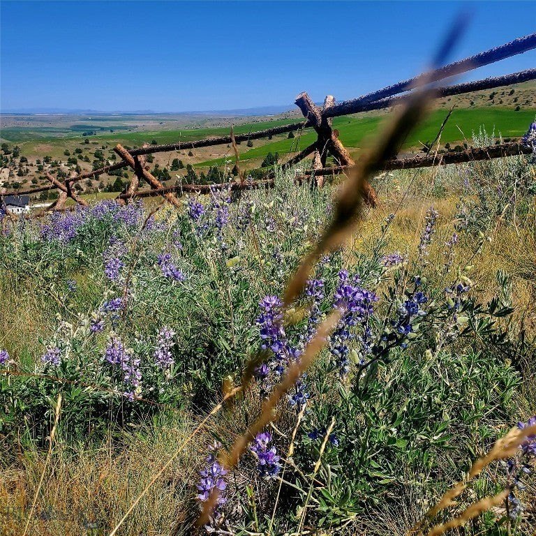 Picture 34