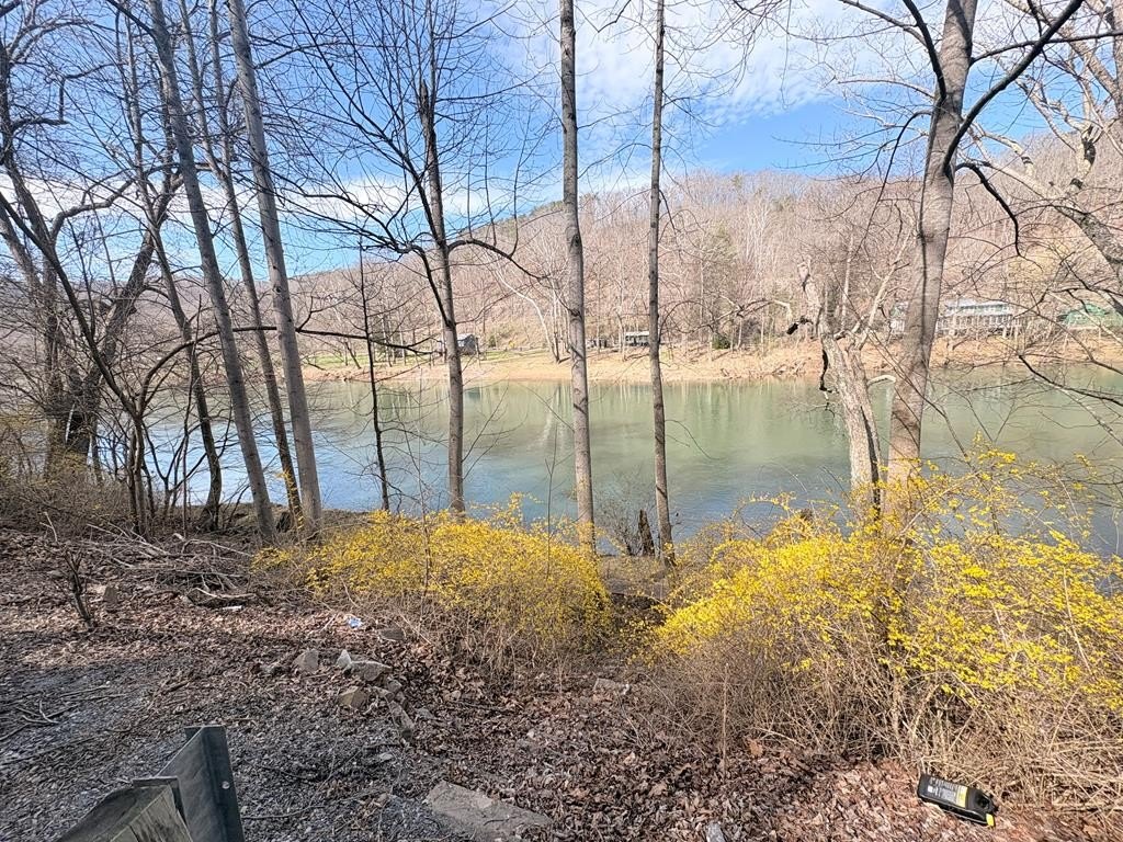 Residential Lot on Greenbrier River