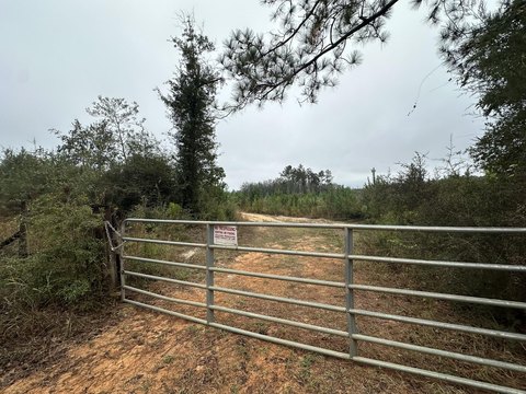 Versatile Land in Laurel Hill