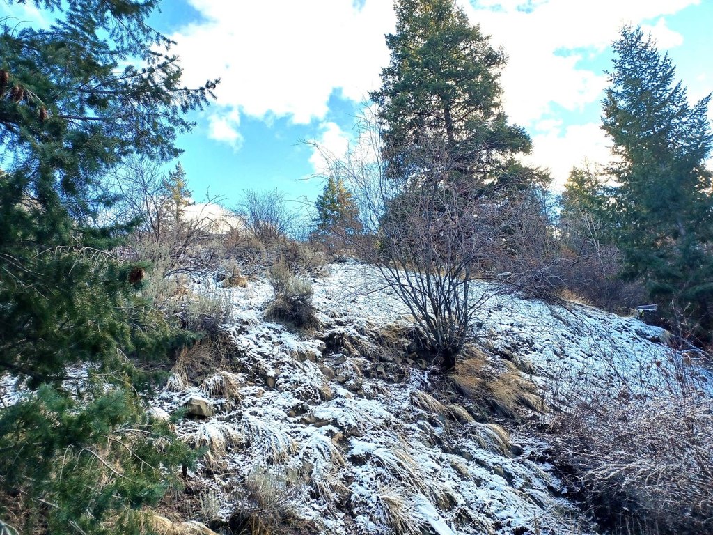 Picture 4