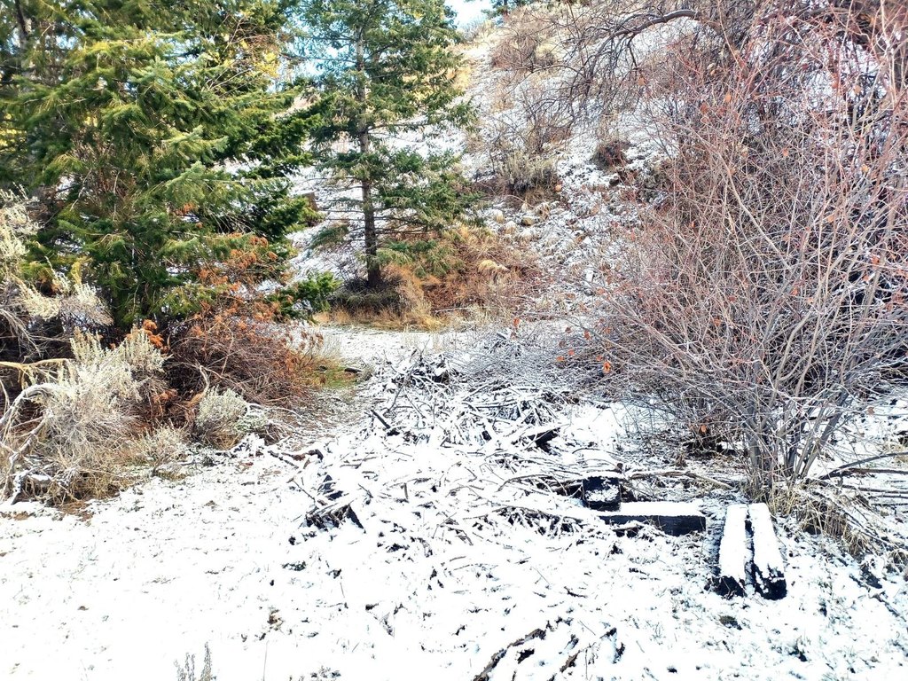 Picture 9