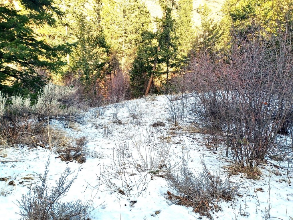 Picture 13