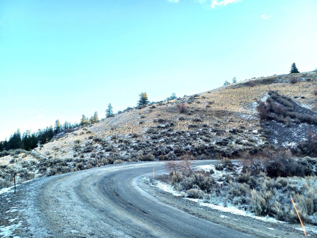 Picture 5