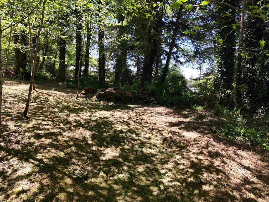 Picture 10
