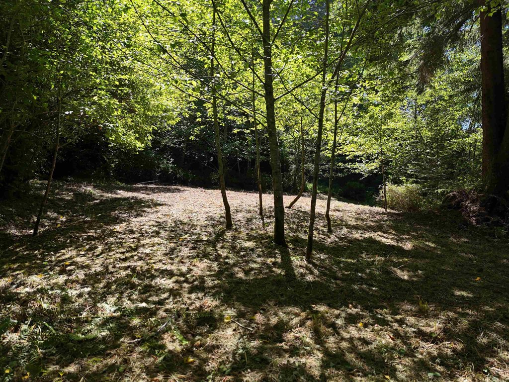 Picture 11