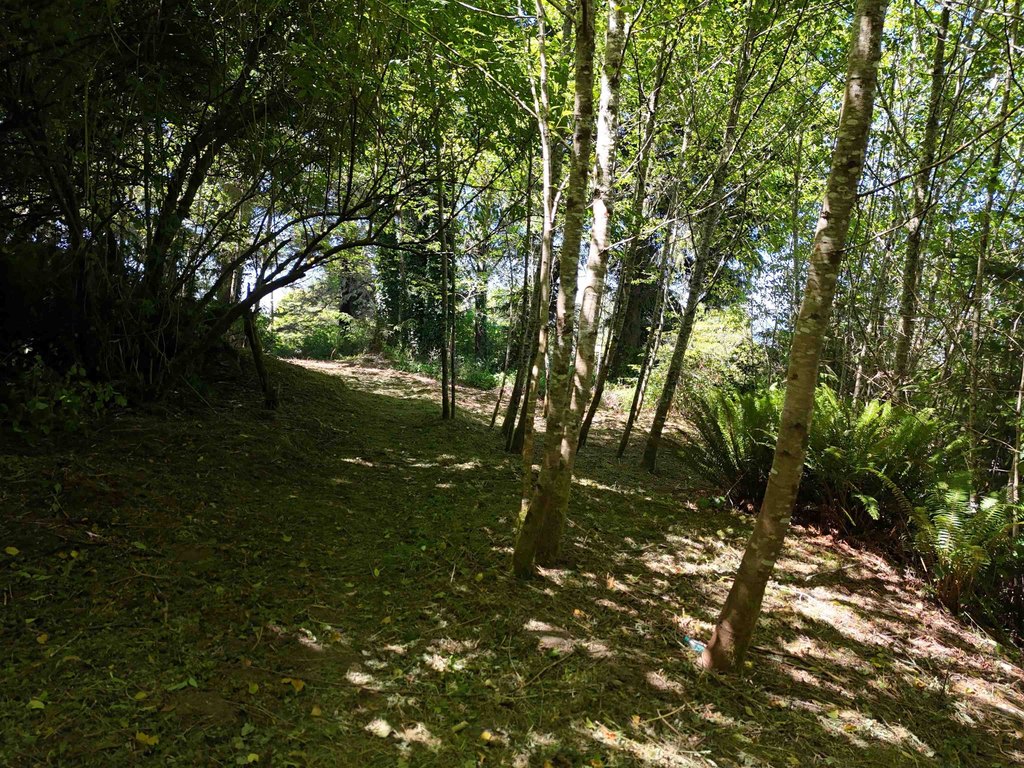 Picture 9