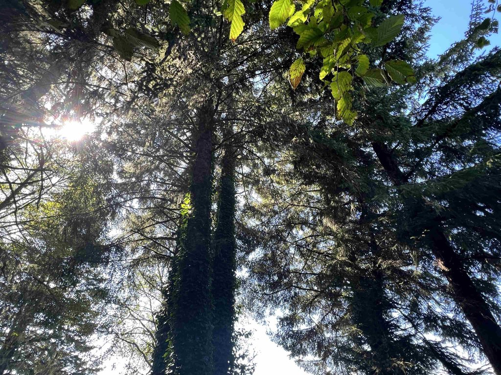 Picture 19