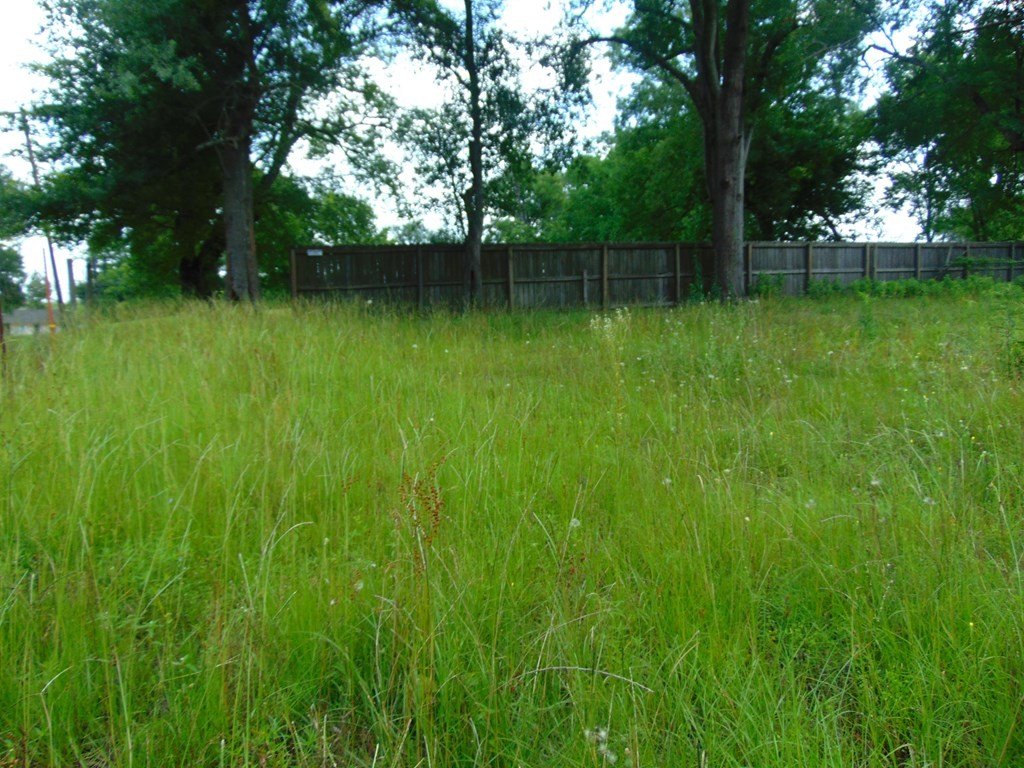 Picture 5