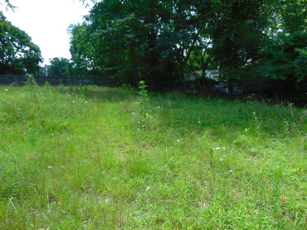 Picture 3