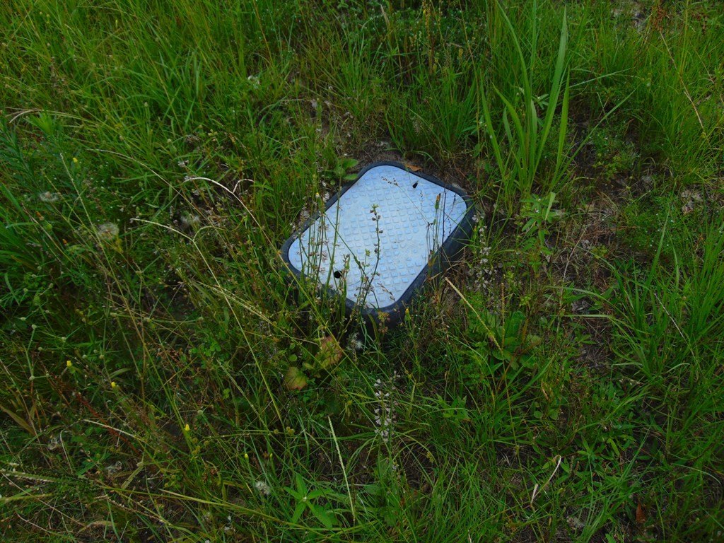 Picture 7