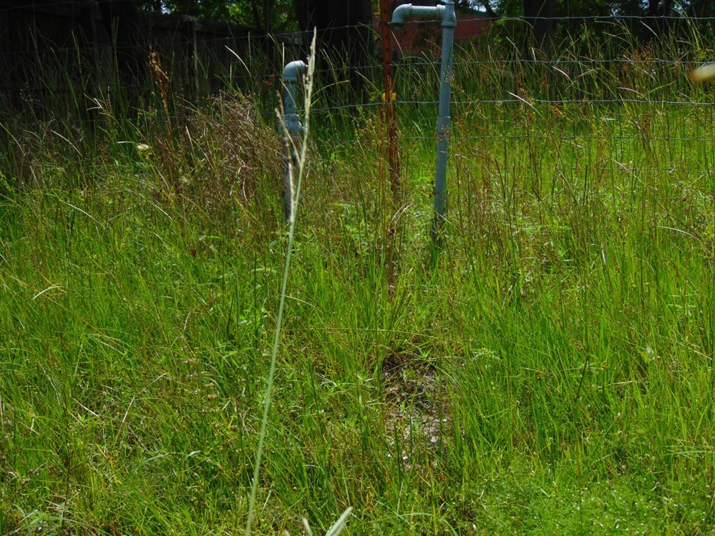 Picture 6