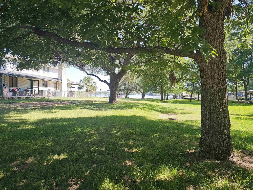 Picture 14