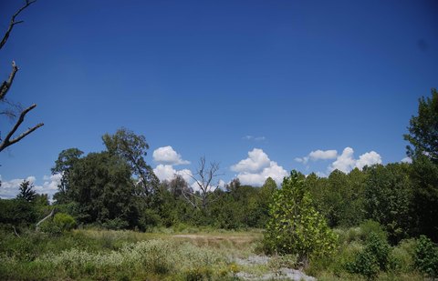 Vacant Land, Alexander, AR