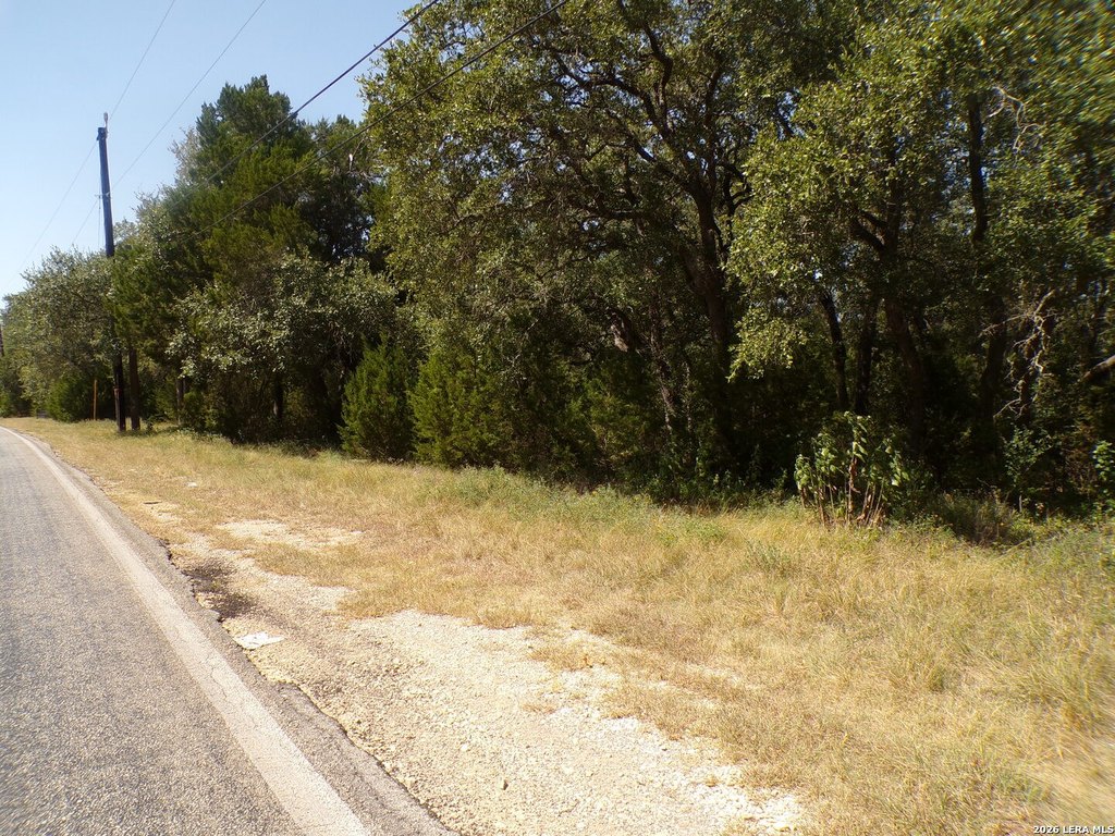 Picture 12