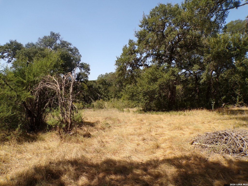 Picture 13