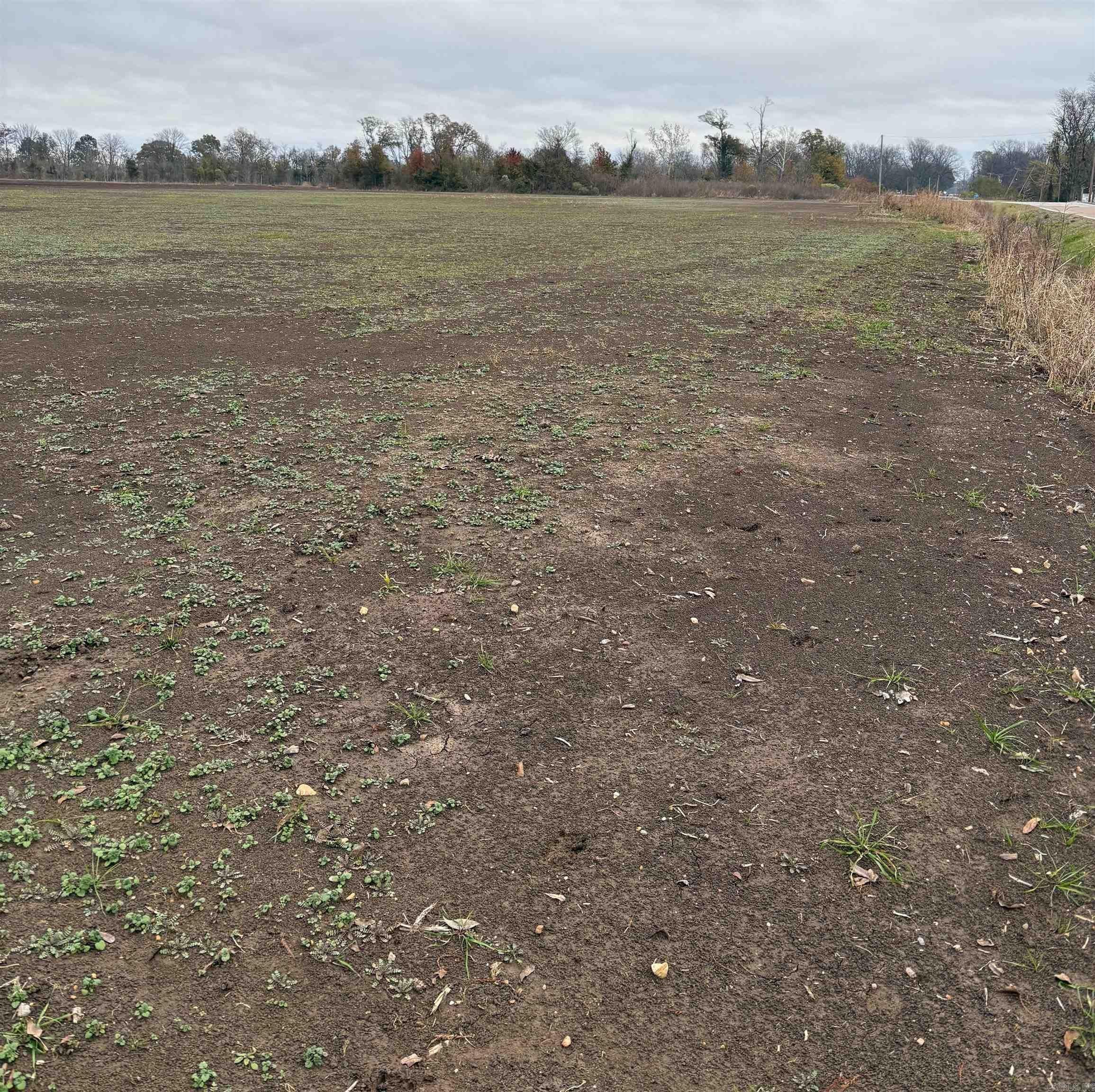 Lake Village Land Opportunity