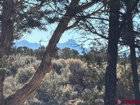 Montrose Land For Sale