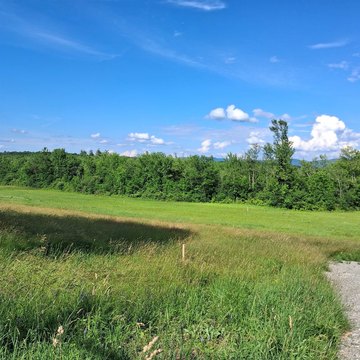 7.5 Acres of Land