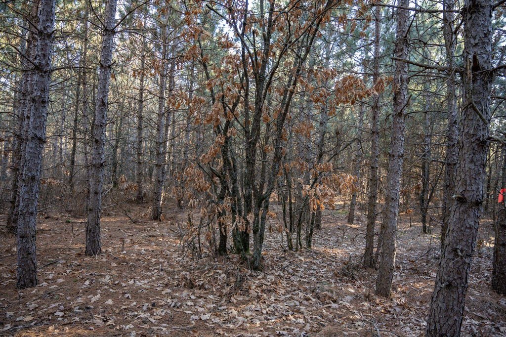 Picture 19