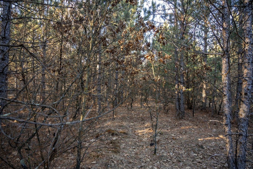 Picture 17