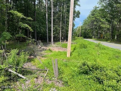 West Coxsackie Buildable Land Parcel