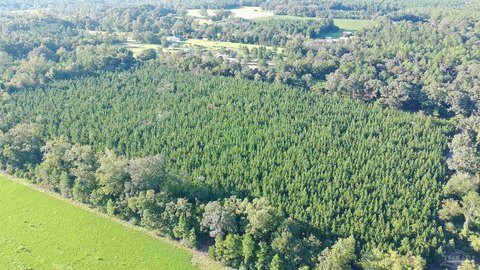 Land, Milton, FL