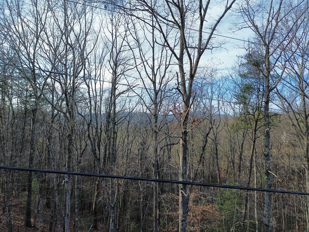 Picture 43