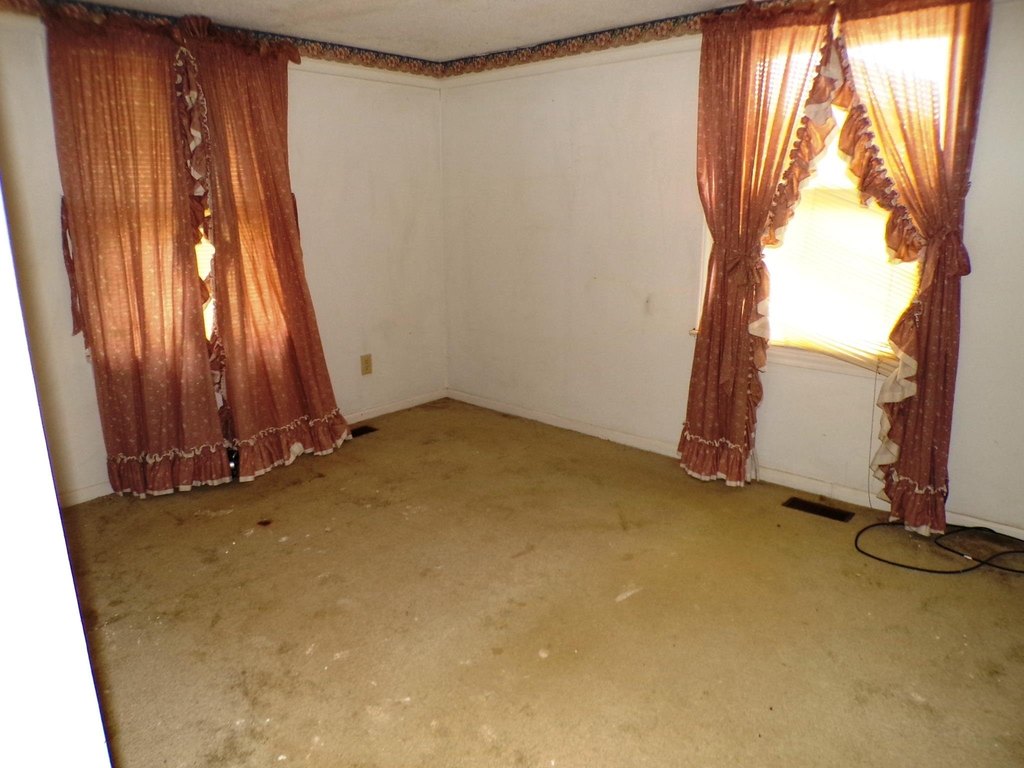 Picture 28