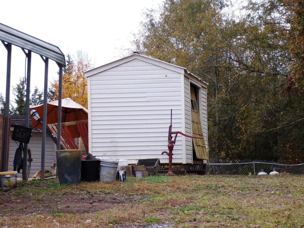 Picture 10