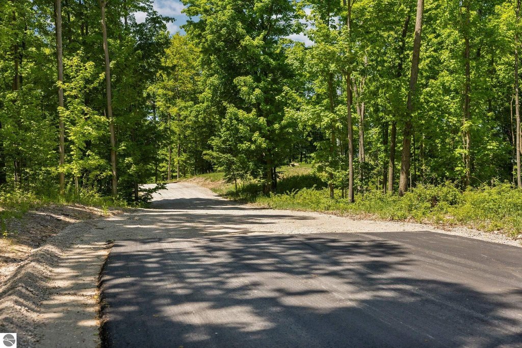 Picture 33