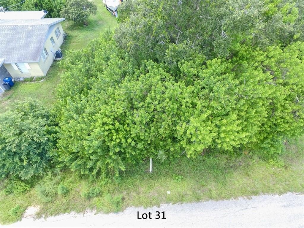Picture 5