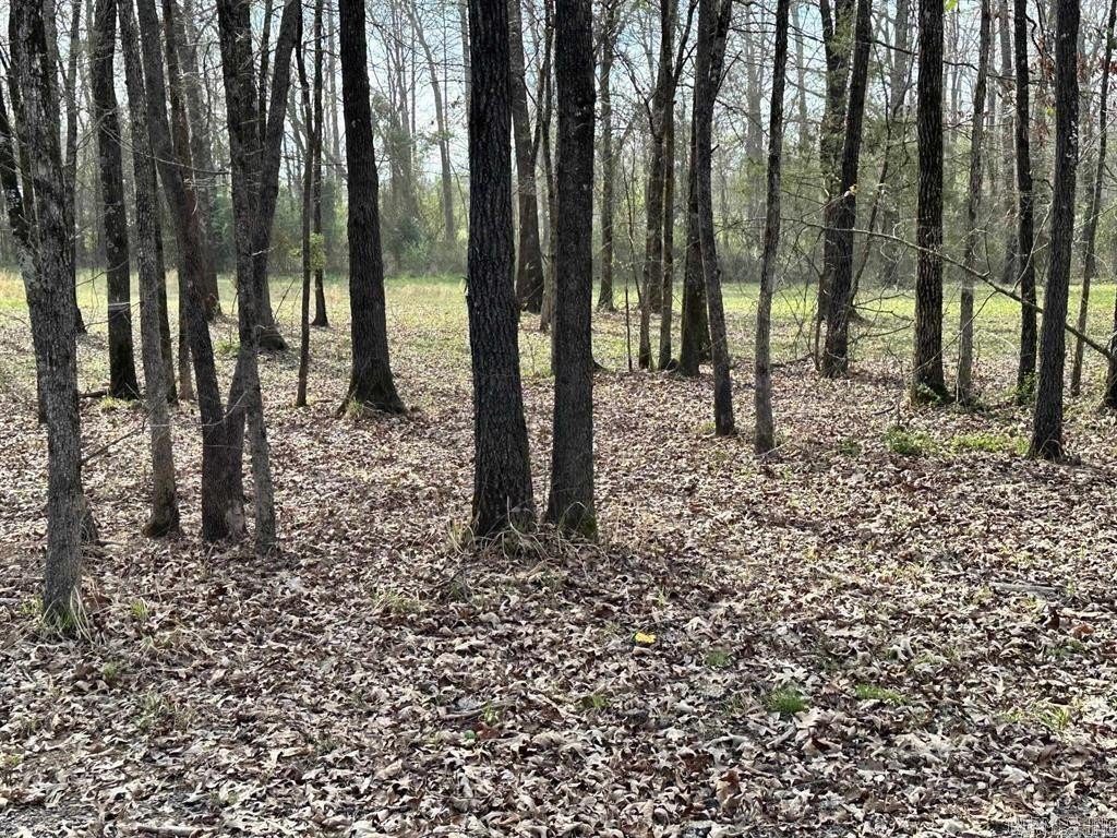 Picture 3