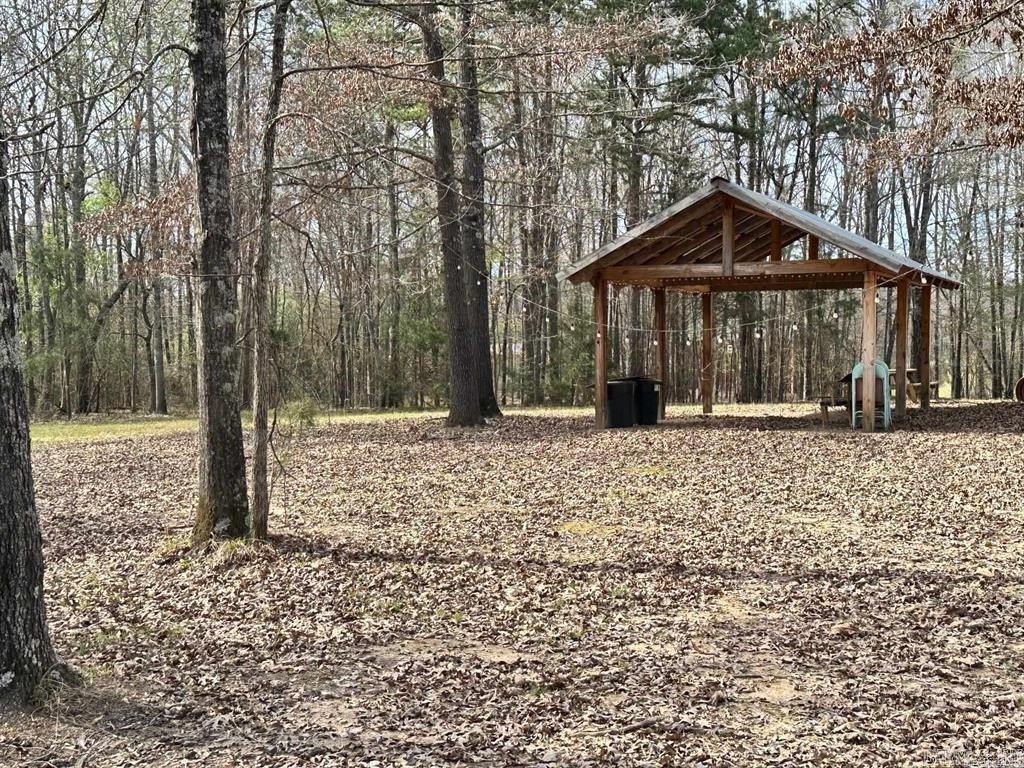 Picture 2