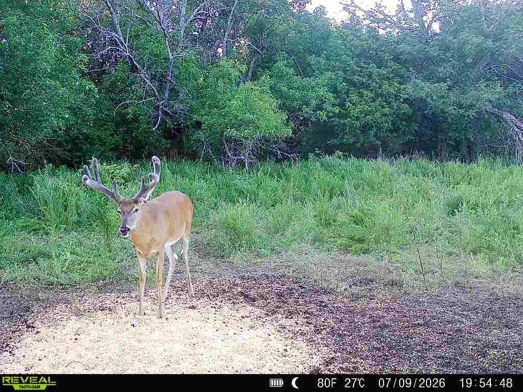 Picture 3