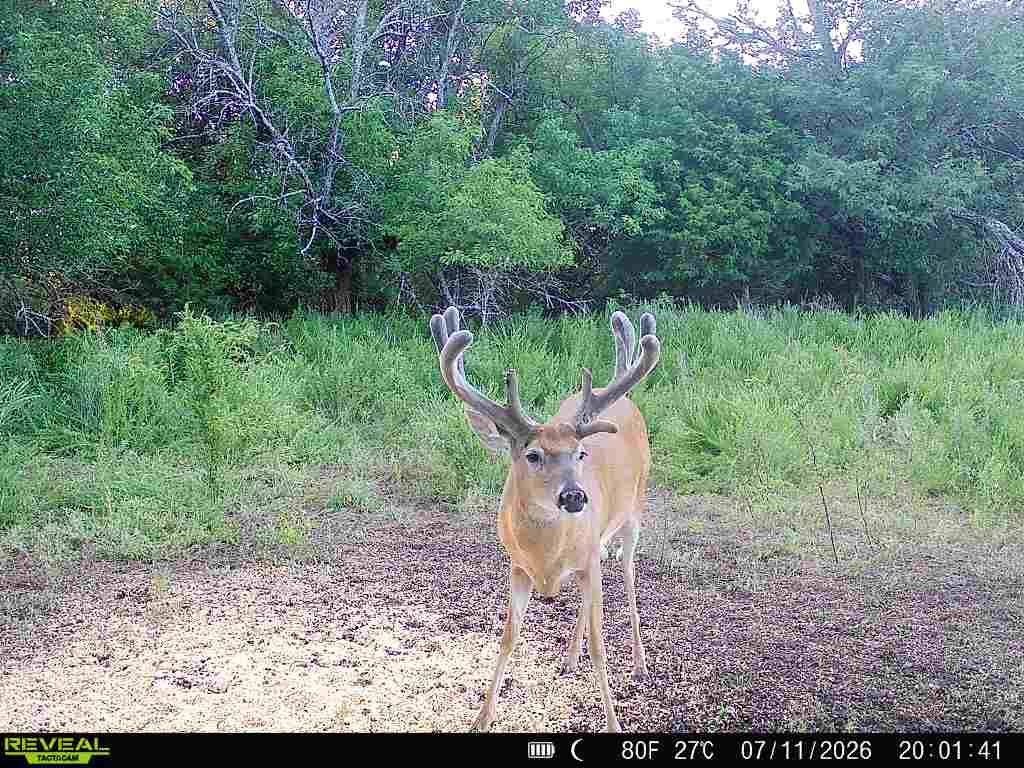 Picture 5