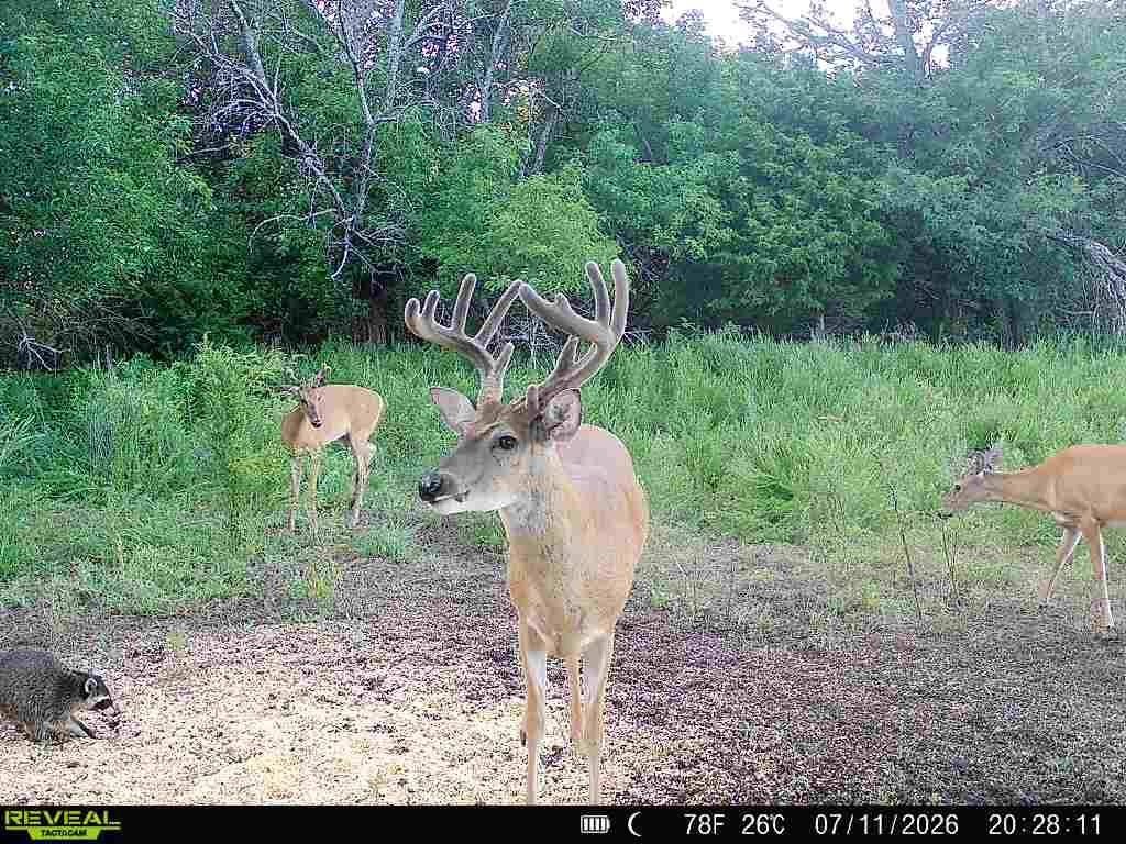 Picture 4