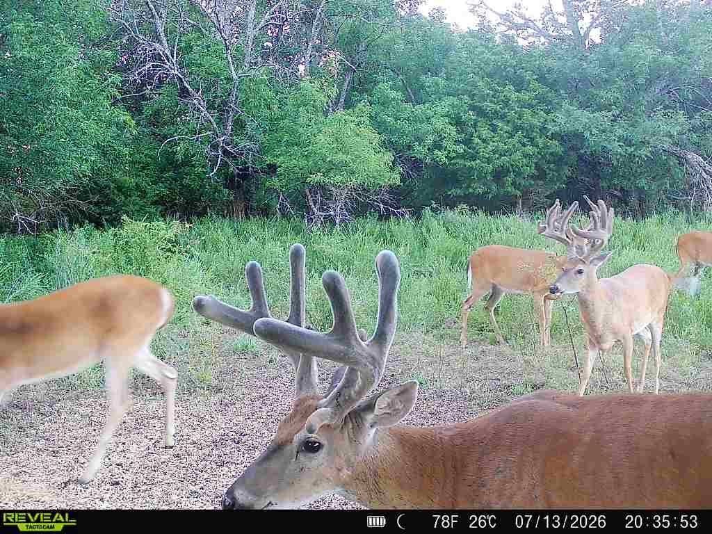 Picture 6