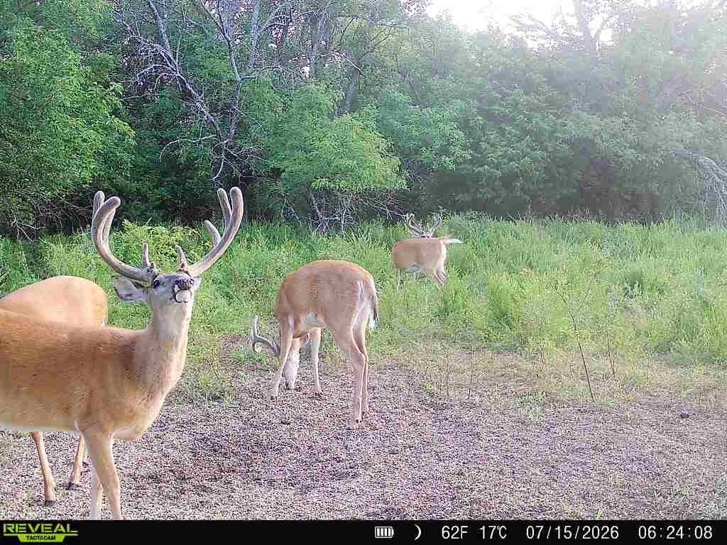 Picture 11