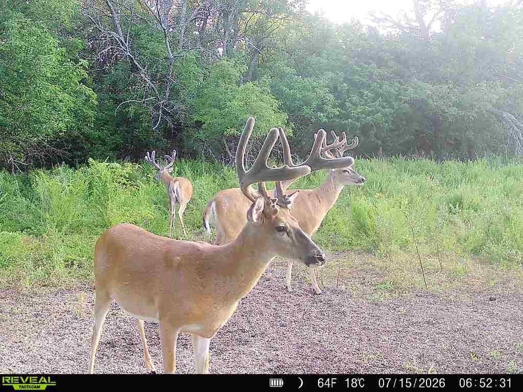 Picture 10