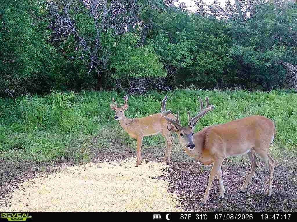 Picture 2