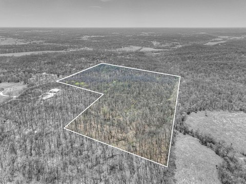 Neosho Hunting and Timber Land