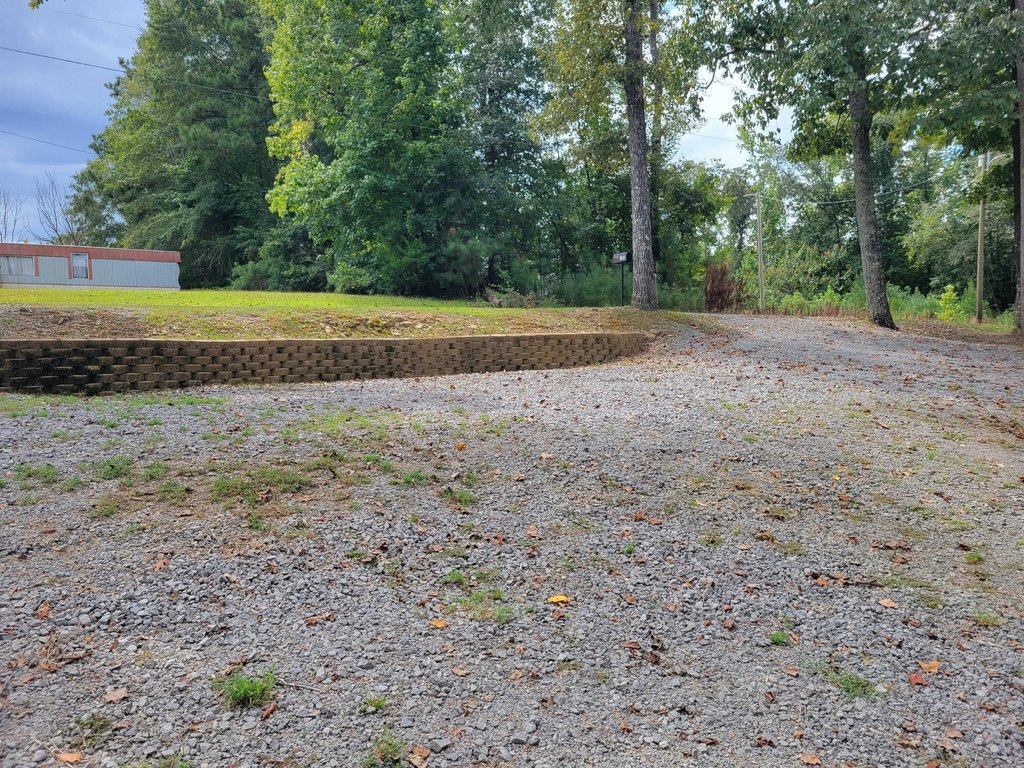 Picture 4