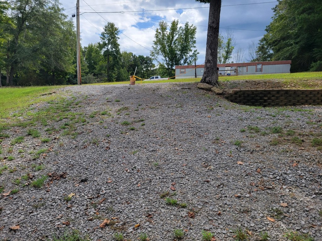 Picture 5