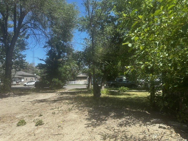 Picture 7