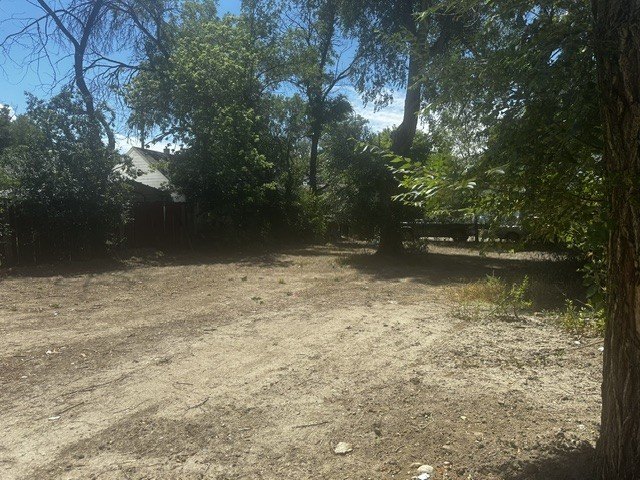 Picture 4