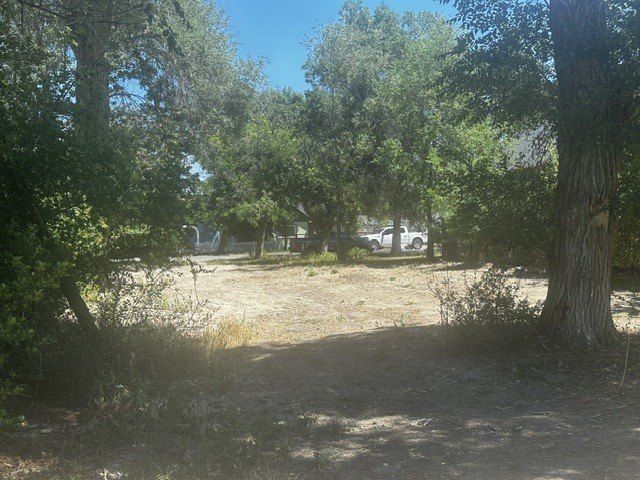 Picture 9
