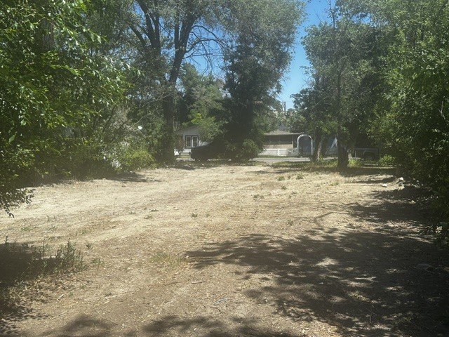 Picture 12